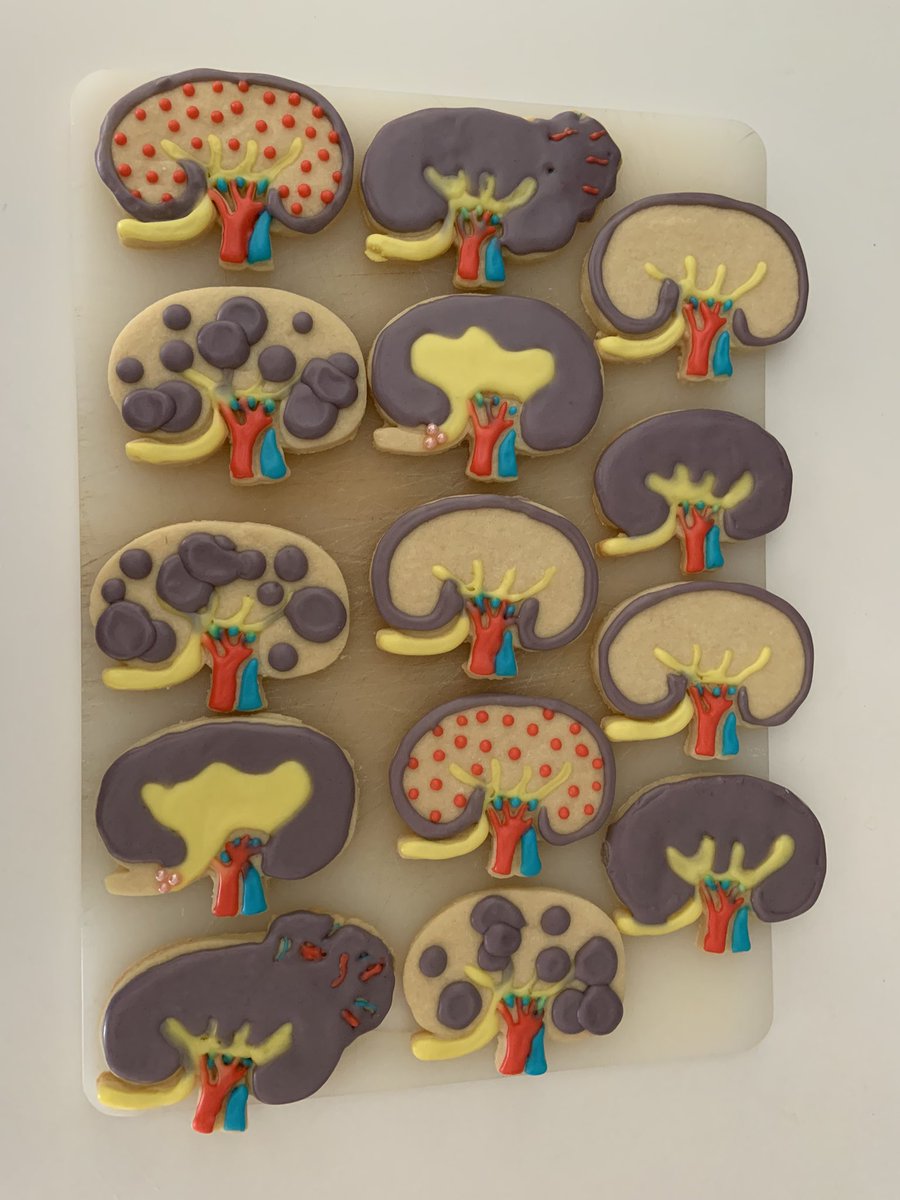 Happy #WorldKidneyDay !! Let’s work to have equitable and universal access to therapies for all.  Spreading some awareness at #whistlerblackcomb today!