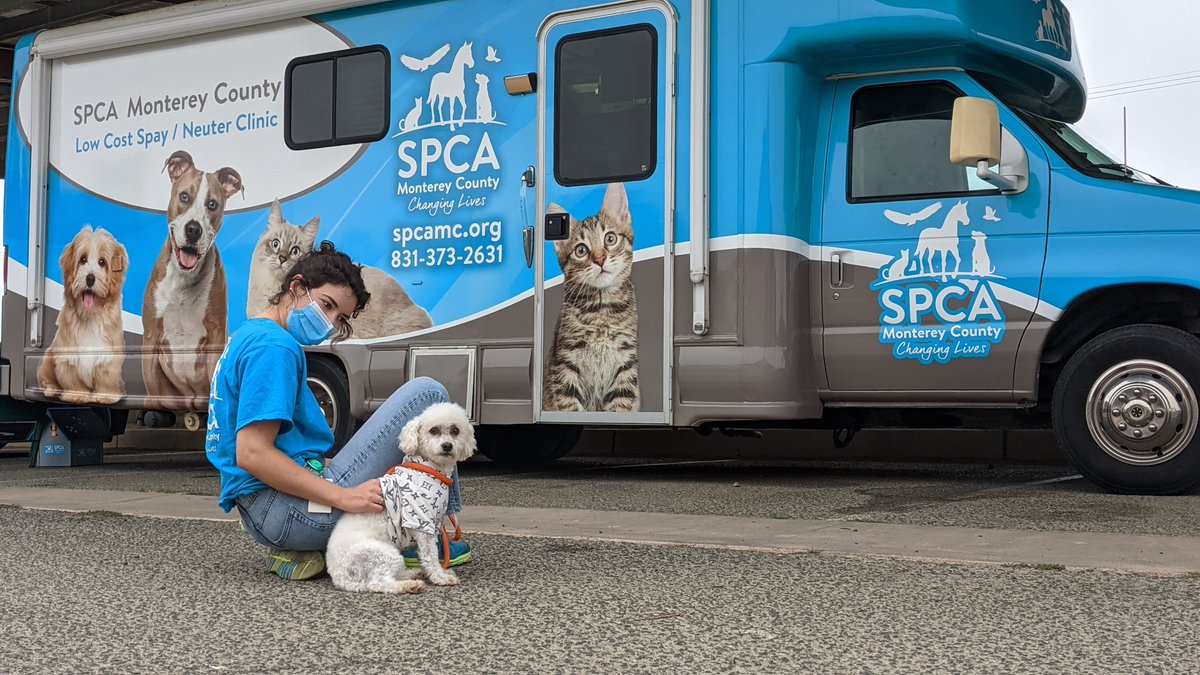 SPCAmc's tweet image. Did you know that we have a low-cost mobile spay/neuter clinic? Tune in to @ksbw, Central Coast ABC, &amp;amp; Estrella TV for A Day of Giving and see how your donations help pets. Thank you 104.3 the Hippo, 1017 the Beach, &amp;amp; 96.9 KWAV for sponsoring!  spcamc.org/give-today
#spcamc