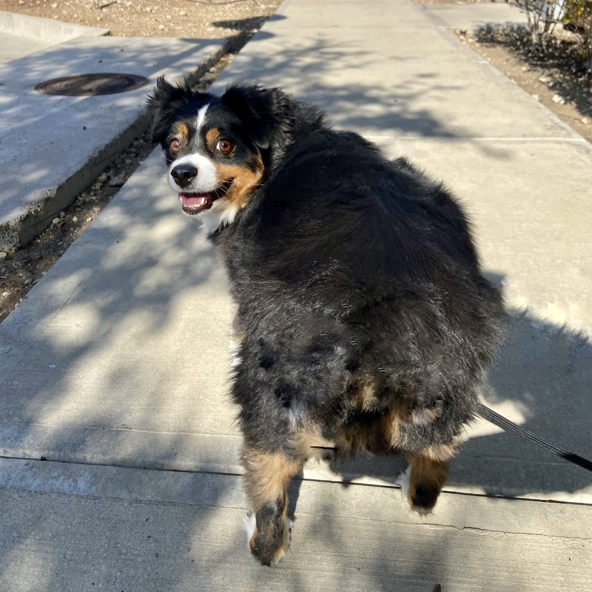 deelow9's tweet photo. He got a big booty so we call him big booty

#lookbackit https://t.co/1aVSWzfkC5