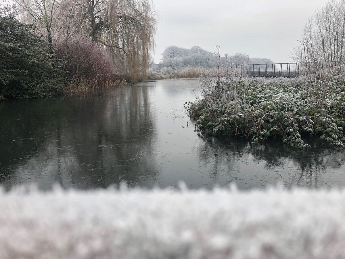 GlastonburyAbbe's tweet photo. #Throwback to when we woke up to a winter wonderland and a frozen duckpond in the first week of 2021! Photos taken by Kelly from our Facilities Team.
#ThrowbackThursday #WinterWonderland #WinterVibes #Instacold #Frozen #FrozenPond #Icey #Frost #FrostyMorning #NewYear #Outdoors https://t.co/hjbVVZCRAh