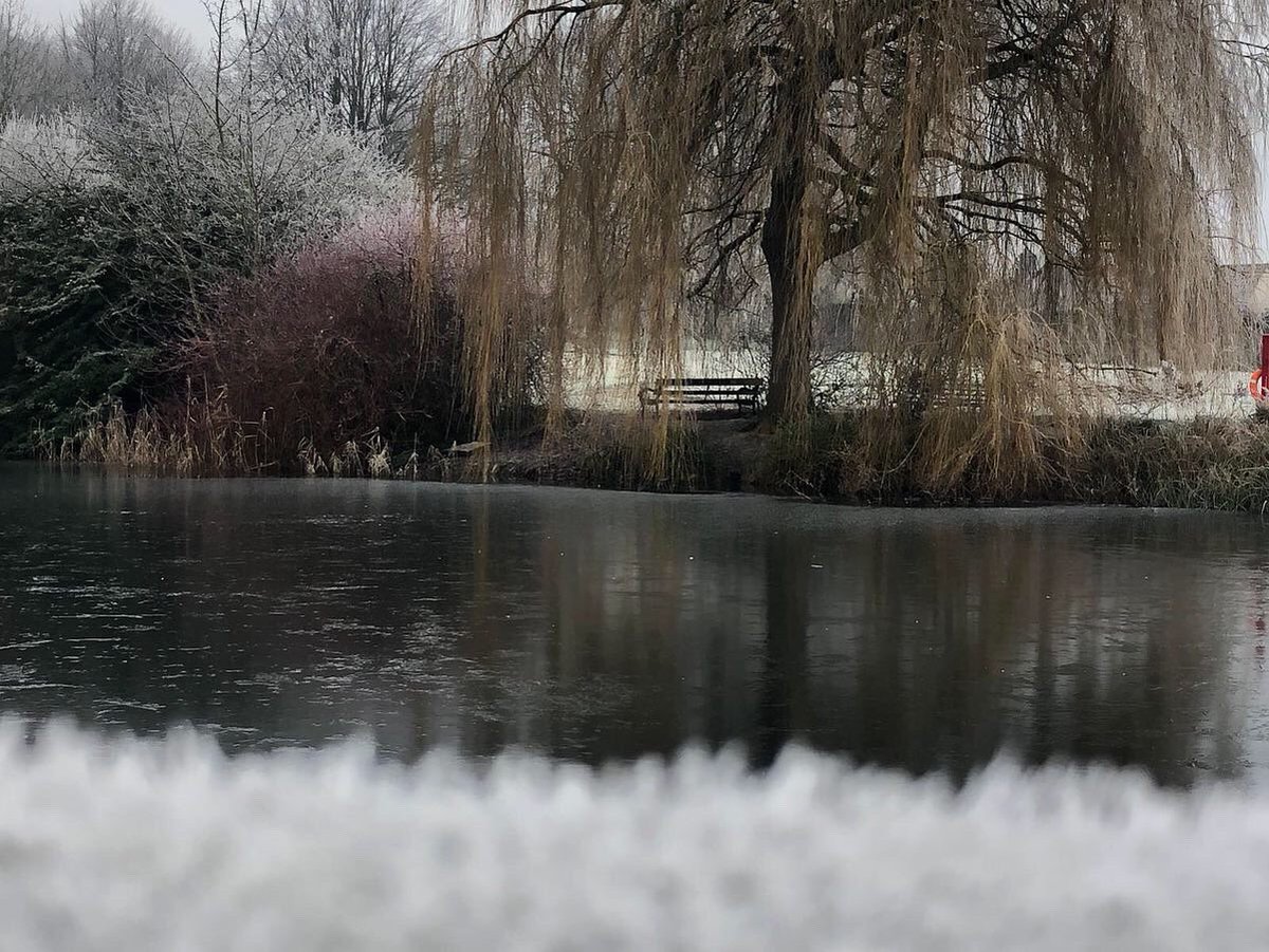GlastonburyAbbe's tweet photo. #Throwback to when we woke up to a winter wonderland and a frozen duckpond in the first week of 2021! Photos taken by Kelly from our Facilities Team.
#ThrowbackThursday #WinterWonderland #WinterVibes #Instacold #Frozen #FrozenPond #Icey #Frost #FrostyMorning #NewYear #Outdoors https://t.co/hjbVVZCRAh
