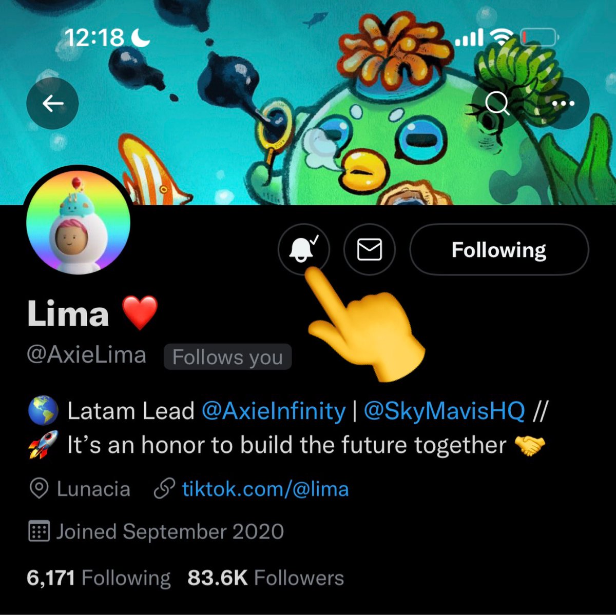 Osito Lima | KIND tweet media