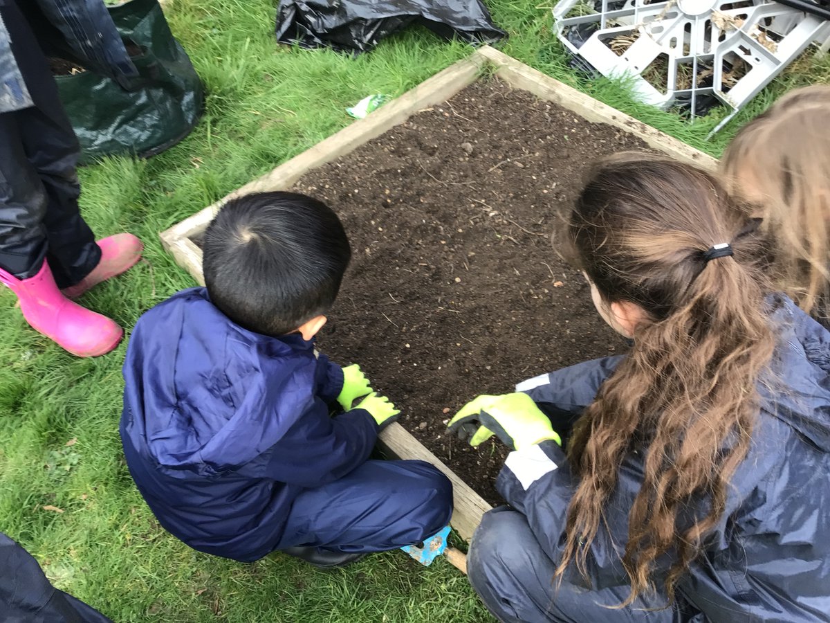 RP_Forest_sch's tweet photo. Year 2 worked hard planting lots of different vegetables and fruit during forest school. Now all we have to do is wait to be able to enjoy all their hard work. https://t.co/YoW88F4Qzm