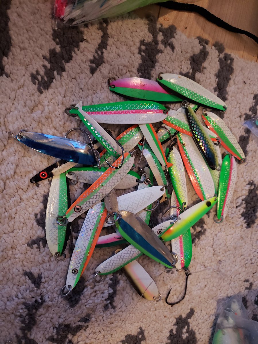 Salmon Charters tweet media