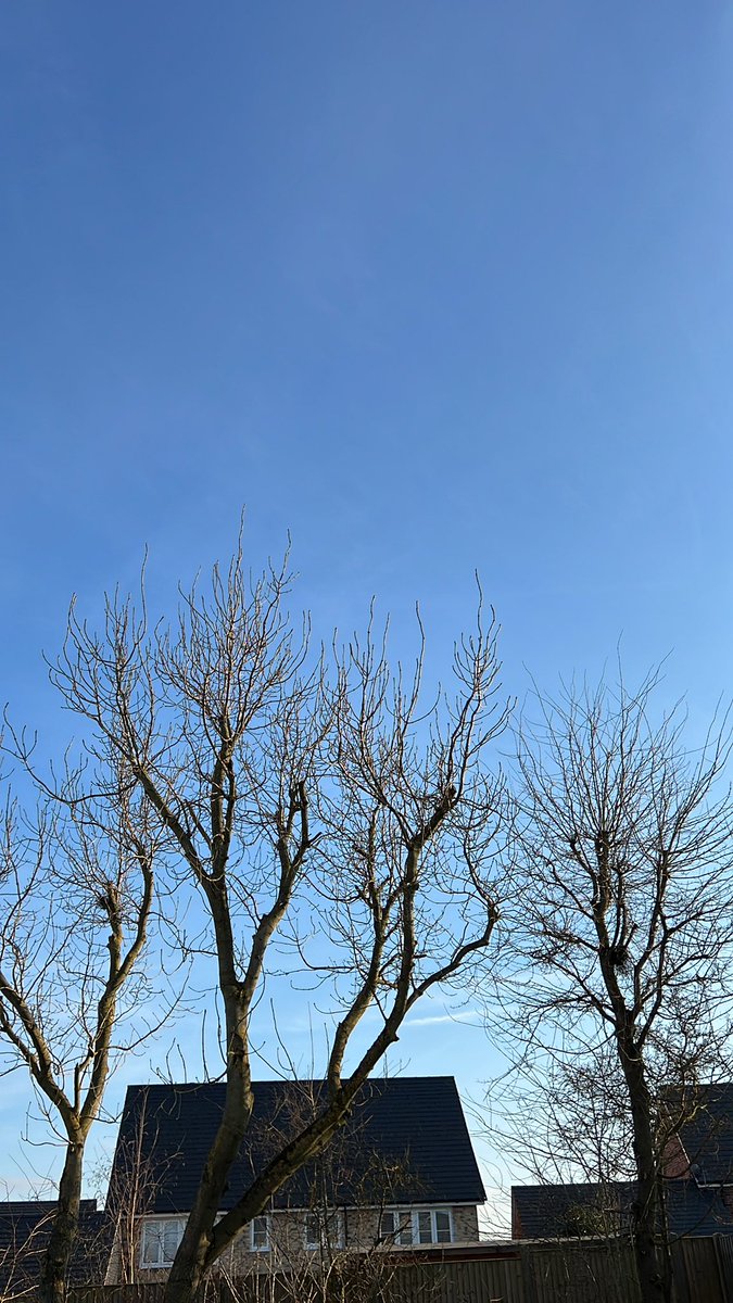 bigimmers's tweet photo. Out in the garden soaking up the sunshine before the next match. About to take #immersbimmer out for a spin Stay #blessed people! https://t.co/0gDu1Rn454