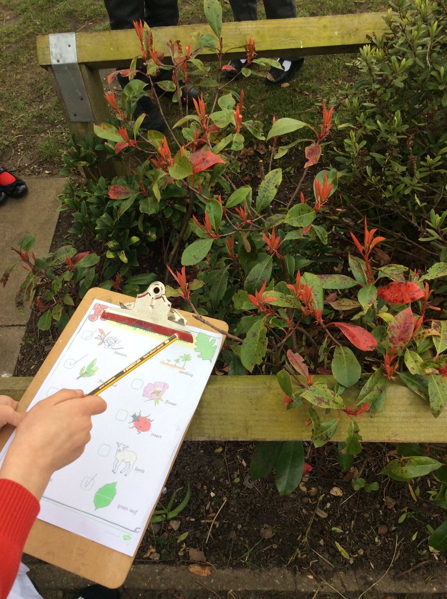 HTAClassGrim's tweet photo. This afternoon we went on a spring walk around the school grounds to look for signs of spring. We thought about what we could feel, smell, hear and see.@HTAClassWebster #HTAscience https://t.co/4y5oXeOq11
