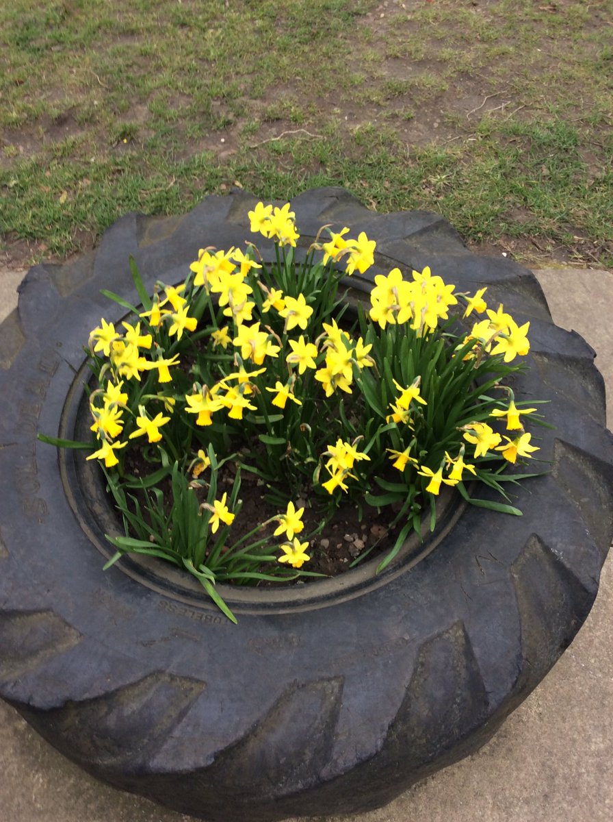 HTAClassGrim's tweet photo. This afternoon we went on a spring walk around the school grounds to look for signs of spring. We thought about what we could feel, smell, hear and see.@HTAClassWebster #HTAscience https://t.co/4y5oXeOq11