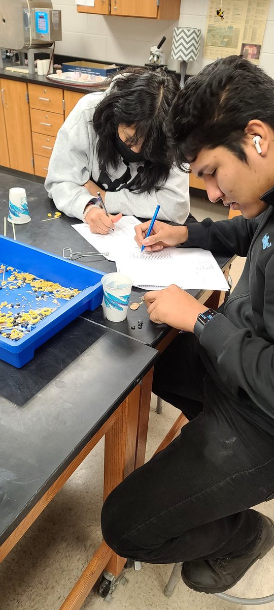 MrsCalvelage's tweet photo. Starting Natural Selection with bird beaks. Figuring out which "beaks" work for each food type. We will compare this to Darwin's findings in the Galapagos Islands. https://t.co/KEIoA0jKiE