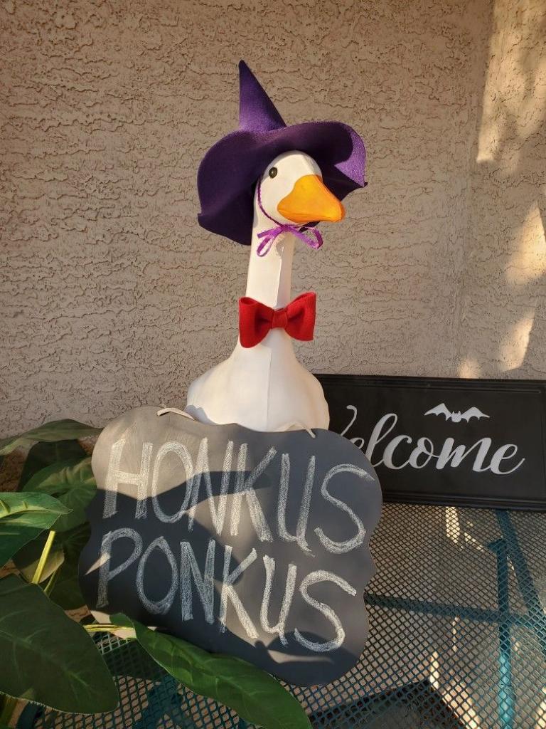 billbillduck's tweet photo. Quack 🪄 https://t.co/q4fiOgmoKr
