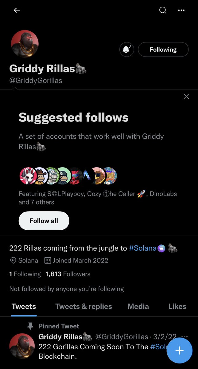 DaddyRawflex's tweet photo. @SolanaaGang @GriddyGorillas https://t.co/JLPdZ10bab