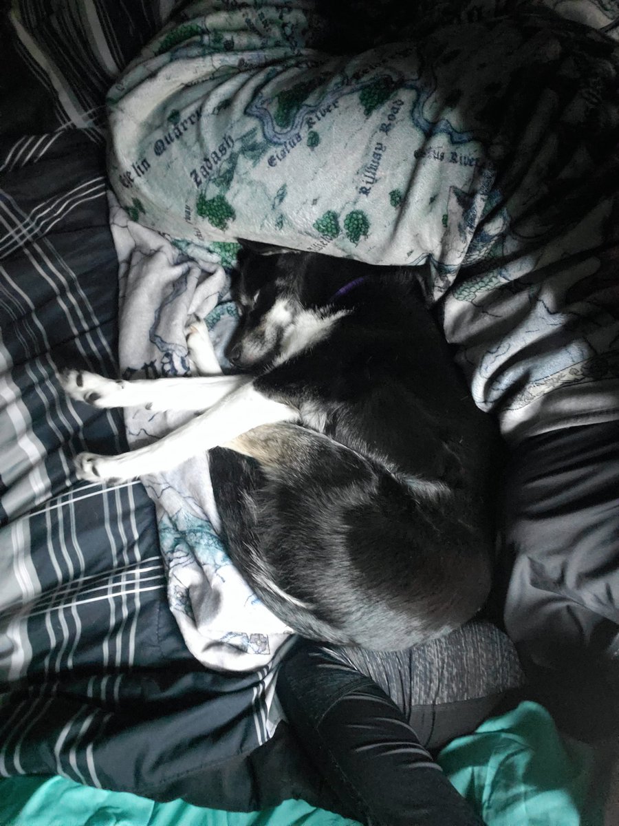 Crested Fiend tweet media