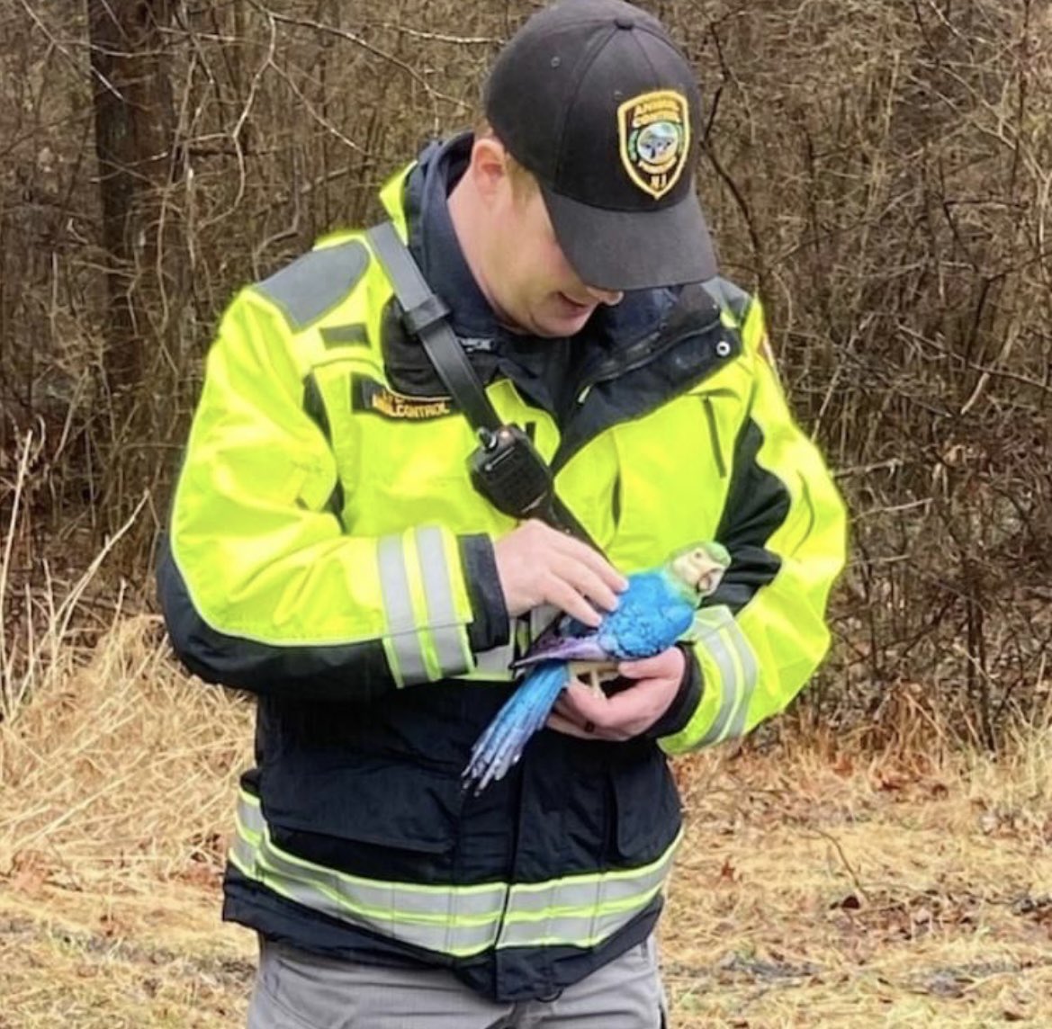kurtsiegelin's tweet photo. .@PrincetonPolice all over this one. 😂 https://t.co/mZUVPezwny