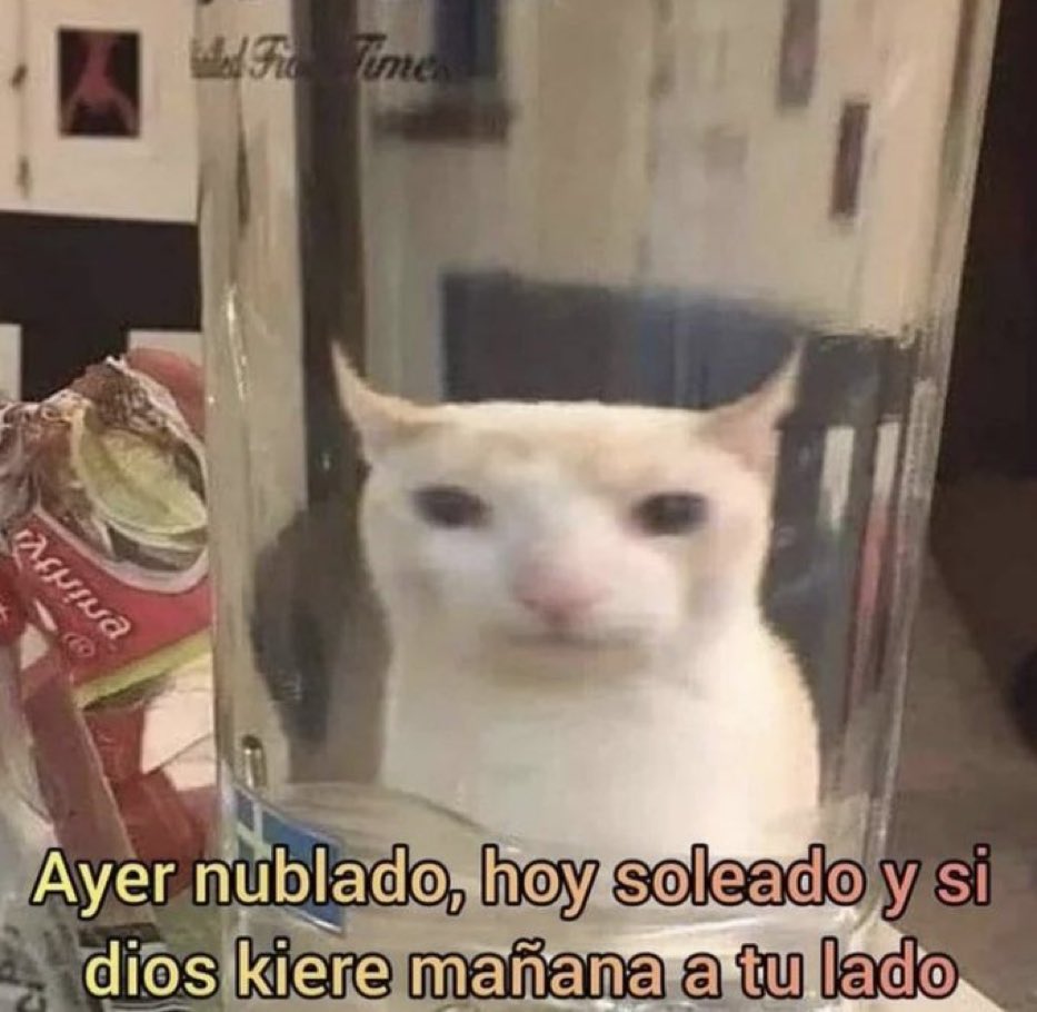 memes4love1's tweet photo. https://t.co/EciXnOl4nA