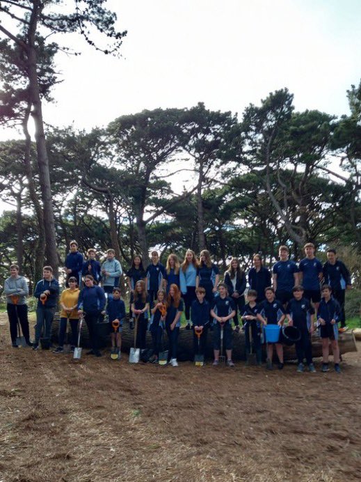 Let’s get planting! #JLT #trees 🌲🌳