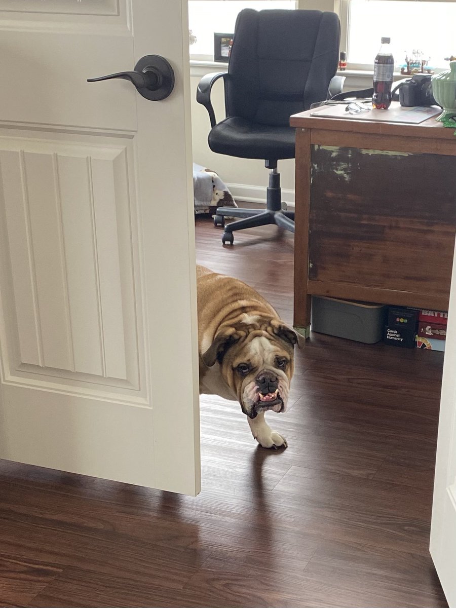 stephbump's tweet photo. Appointment time? #assistantlife https://t.co/9QaX62rxPa