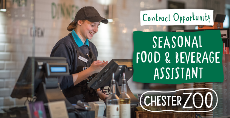 JobsinTourismUK's tweet photo. A working environment that could not be more different from a typical Food &amp; Beverage setting – where else could you stroll among rare giraffes &amp; tigers on your lunch break?

£9.50ph +perks

https://t.co/FLruTYMsHR

#jobsintourism #jobsinzoos #chesterzoo #chester #hospitalityjobs https://t.co/HQNDhEqfcE