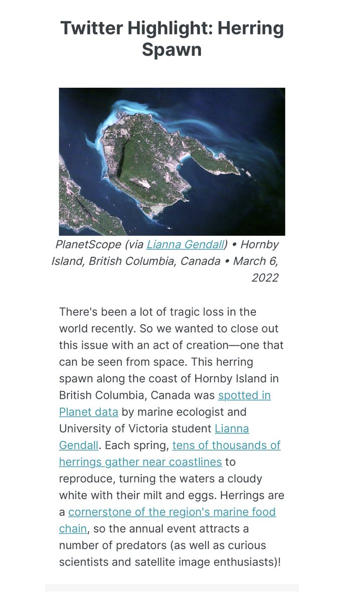Thank you <a href="/planet/">Planet</a> for featuring me in your planet snapshot newsletter! Spring has officially sprung with the herring spawn this past weekend!  <a href="/UVicSpectral/">Spectral remote sensing lab</a> <a href="/UVicGeog/">UVic Geography</a> <a href="/UVicSocialSci/">UVic Social Sciences</a> @WomeninSciUVic <a href="/uvic/">UniversityOfVictoria</a>