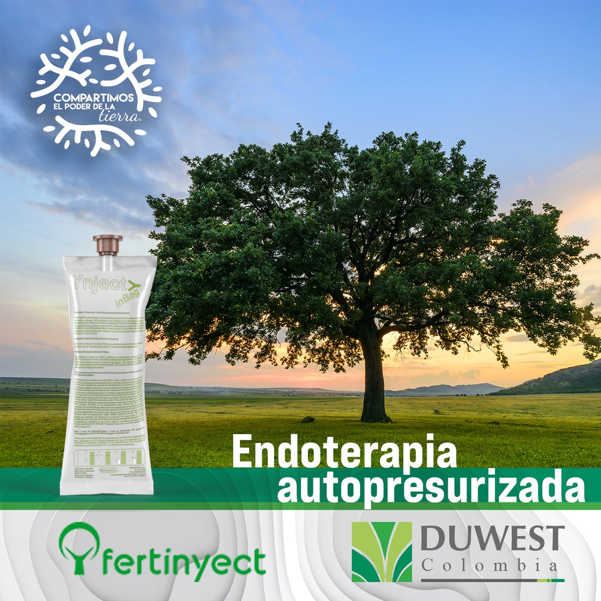 DuwestC's tweet photo. Los productos profesionales para endoterapia ya están en Colombia con Duwest.
La endoterapia es el tratamiento fitosanitario y de nutrición para árboles mediante la inyección directa al tronco, reduciendo la contaminación, riesgos y afectación al ambiente.

#forestal #ambiental https://t.co/0BXxu1ikXI