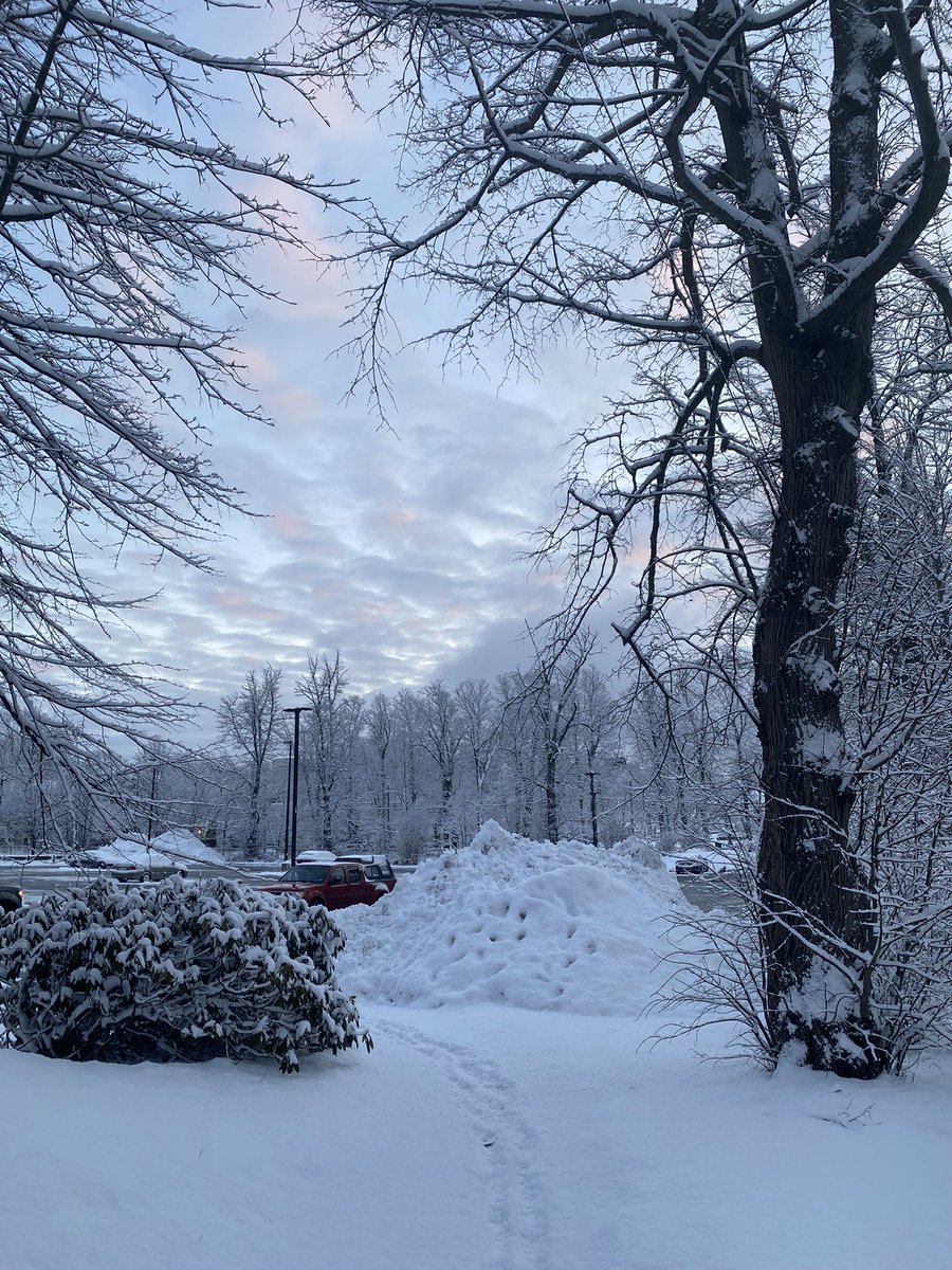 arudzski's tweet photo. Good morning Halifax! https://t.co/zykDZkAuvd