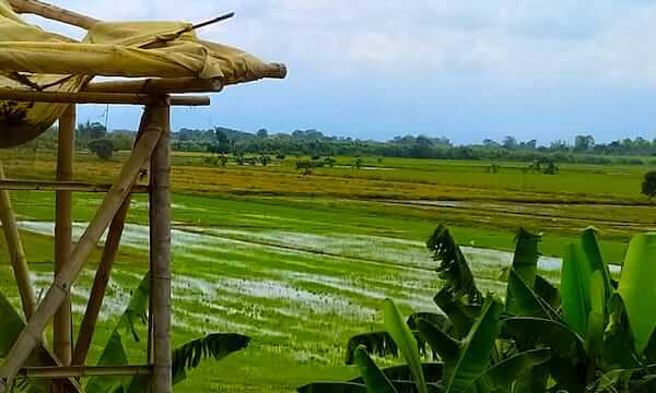 ayudaenaccion's tweet photo. ¿Te dedicas a la #ingeniería?

Si la respuesta es sí ✔️ desde #SocialSolver tenemos un reto para ti. Necesitamos reducir el consumo de agua en los cultivos de arroz de un municipio del Valle del Cauca, en #Colombia.

¿Nos ayudas? c/ @ennomotive 

🔗 https://t.co/0WpSL9OlRE https://t.co/Ne7khkWFx3