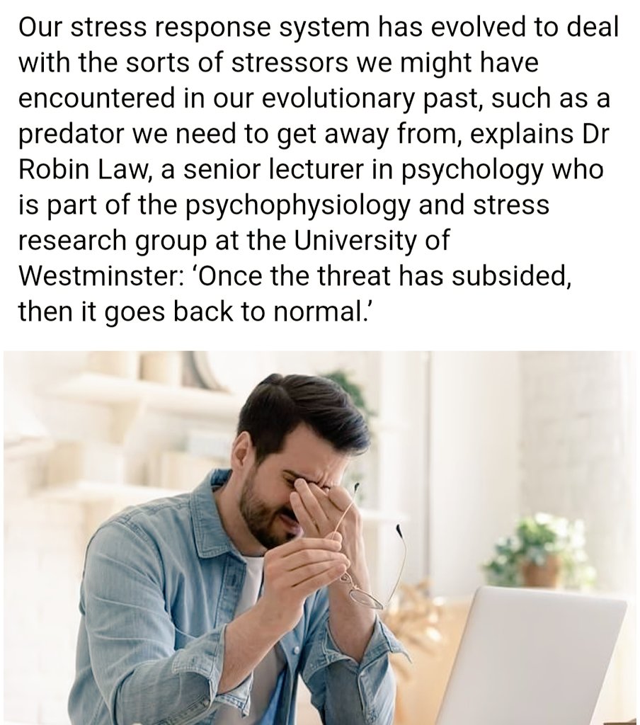 Robin Law tweet media