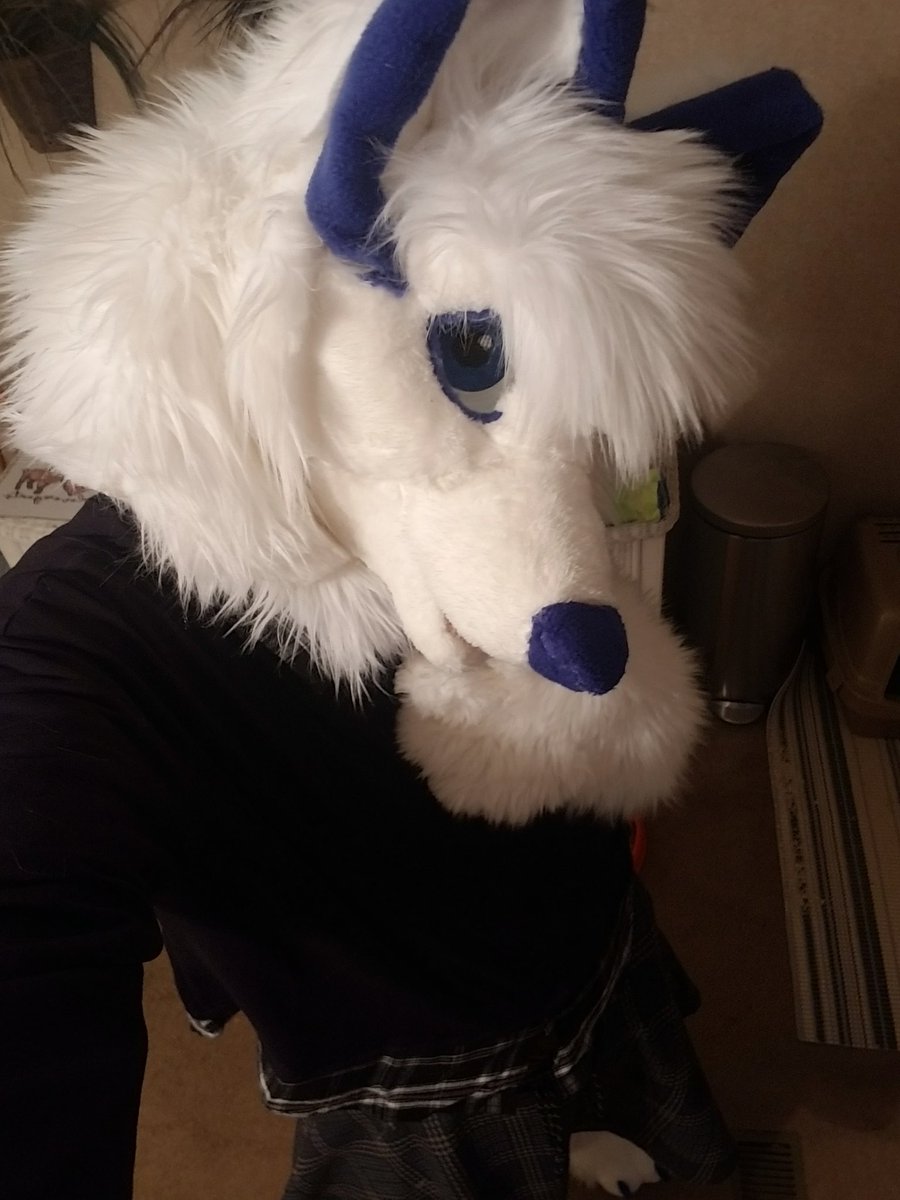 moralefox's tweet photo. Hey there cuties <3 https://t.co/hzt1bFCS2x