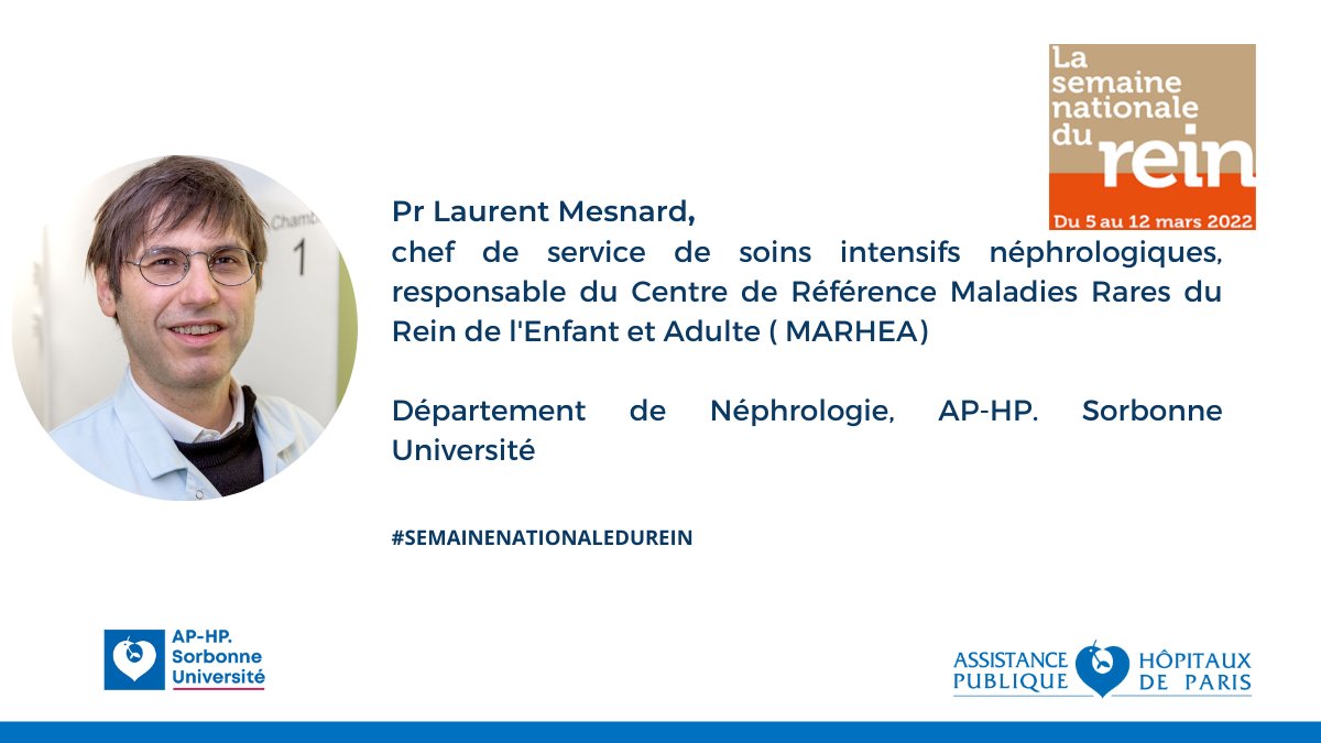 [Semaine Nationale du #Rein] En direct🔴
"Le #dépistage des maladies génétiques rénales de l'adulte évolue grâce à la génomique. Les patients et les néphrologues adultes doivent être sensibilisés dans un esprit de santé publique." 
<a href="/APHP/">Assistance Publique – Hôpitaux de Paris (AP-HP)</a> <a href="/FiliereORKiD/">Filière ORKiD</a> <a href="/mairiedu13/">Mairie du 13e</a> <a href="/Mairiedu20/">Mairie du 20e</a>