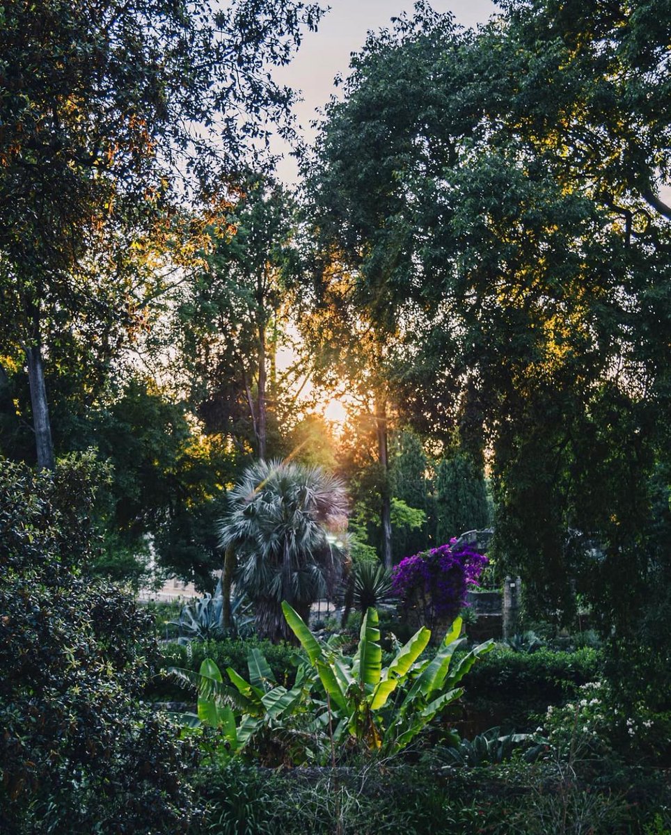 Fondationceiba's tweet photo. La @Fondationceiba soutient des associations dans la réalisation de leurs plans d’action de préservation et de promotion de la nature en ville. 

#jardindesplantes #jardindesplantesmontpellier #fondation #fondationceiba #natureenville #montpellier #sauverlaplanete https://t.co/LCSomtlXnx