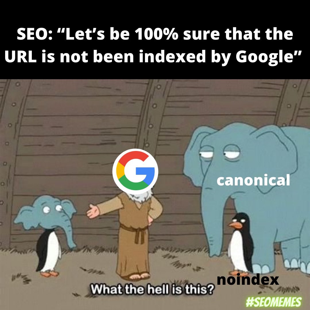 SEOMemes tweet media