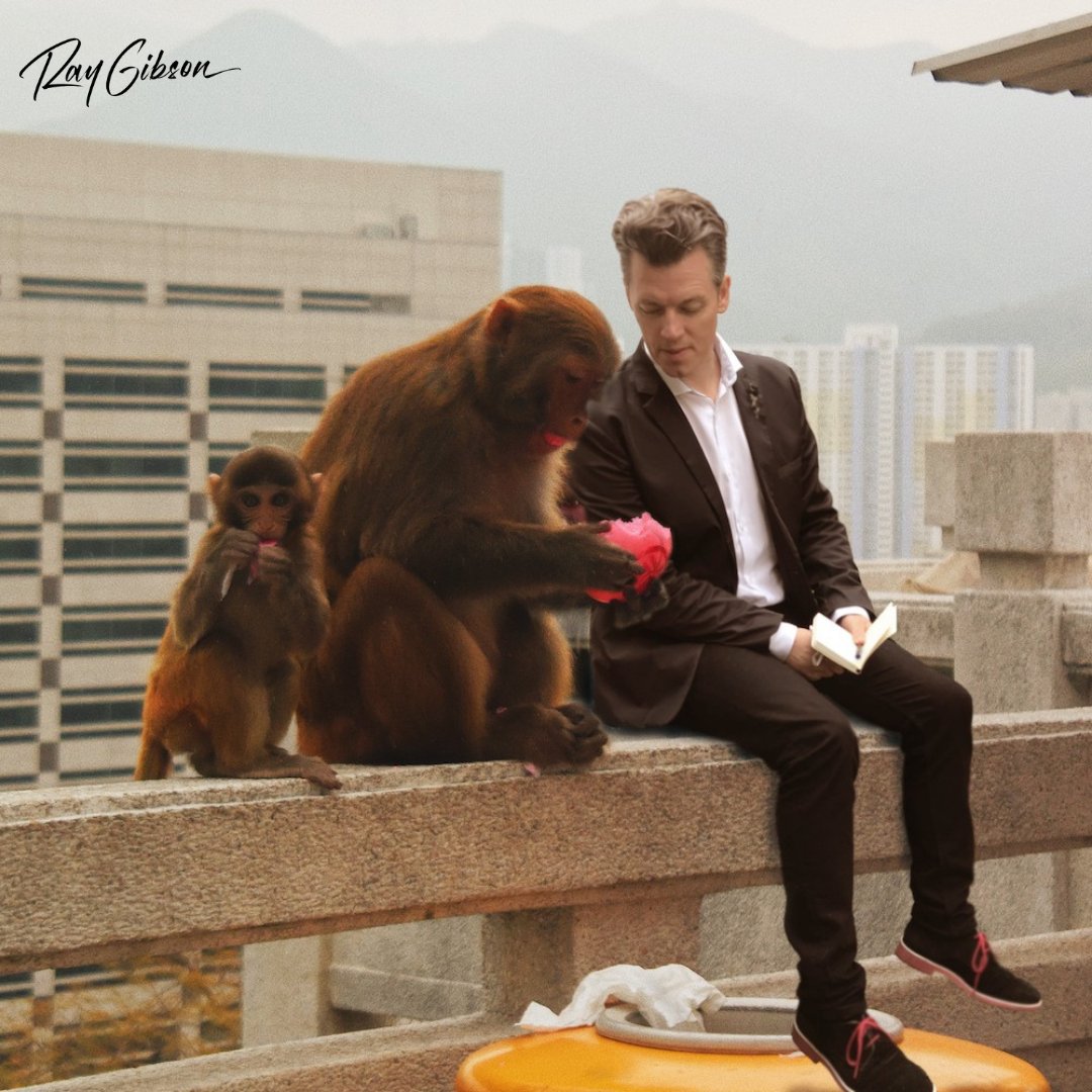 Sometimes you need to get out of your daily routine to write lyrics😊
Learn more at raygibson.com/music
#music #musicislife #musician #musicproduction #TuneIn