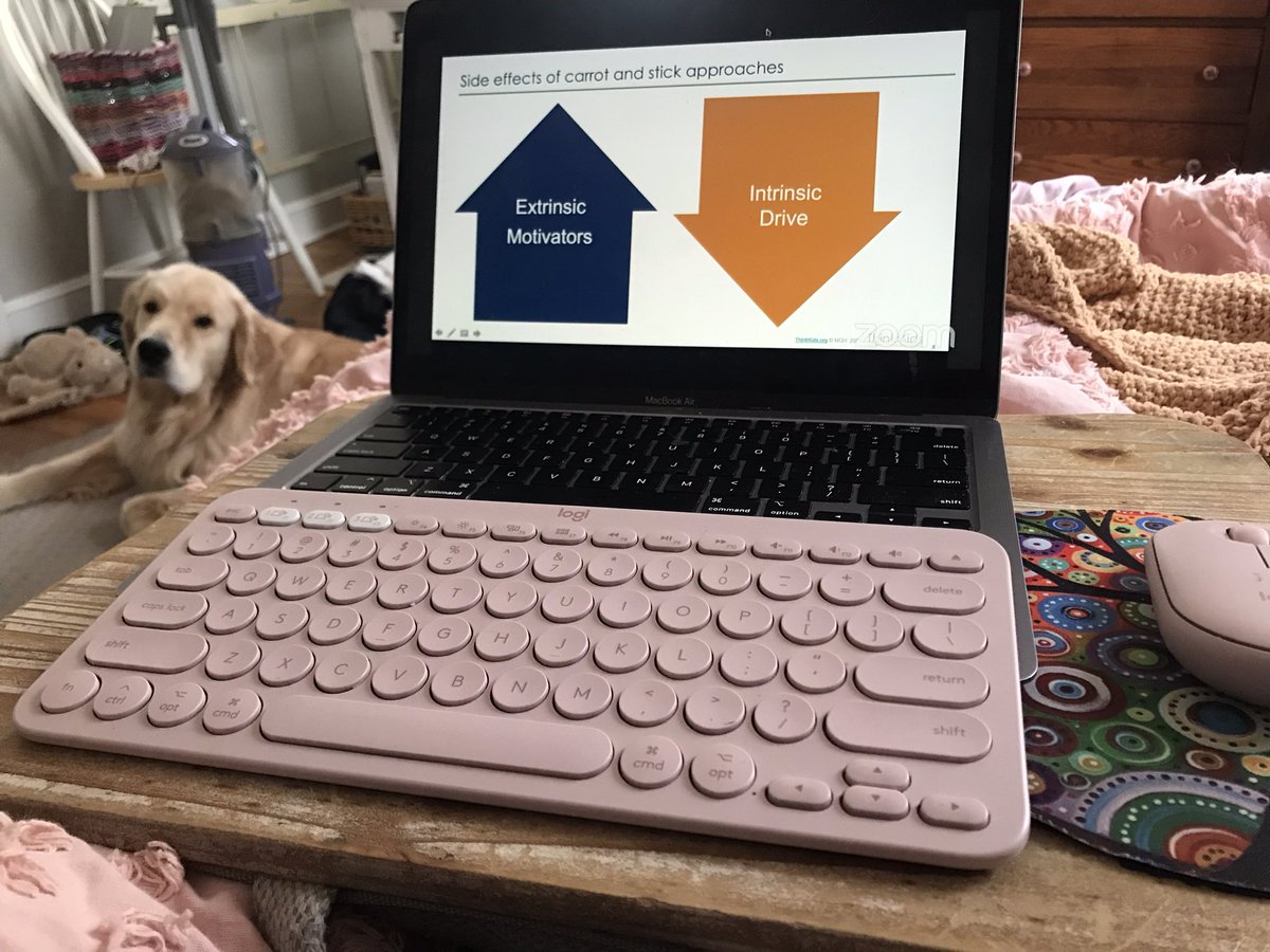 ElizabethKilg's tweet photo. “If you give a dog a name, they’ll eventually answer to it. So let’s stop using rewards and punishments to teach kids they’re not trying hard enough.”
Thank you @stuartablon for your incredible keynote #RULER2022. Because #ActuallyAutistic students need #SocialEmotionalLearning https://t.co/EcUKAKW0Aa