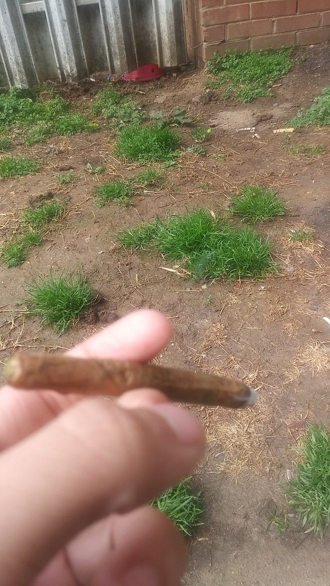 32millions's tweet image. "I pray this reefa help me get rid of my demons"