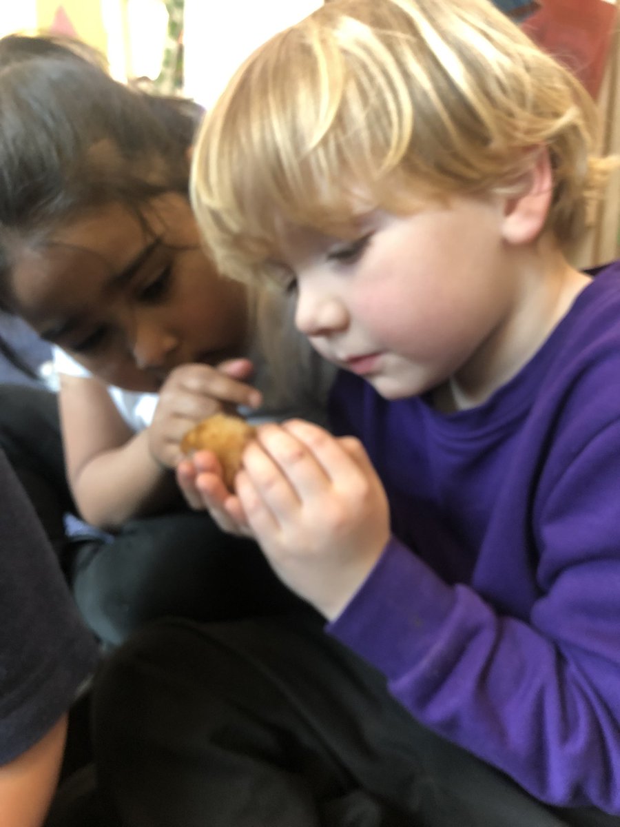 MissBarnett20's tweet photo. So much love for our new fluffy friends in Reception 🐥 @shipley_ce @WeAreBDAT https://t.co/pxK61nuyCz