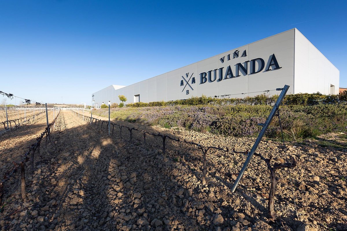 Viña Bujanda es sinónimo de evolución y tradición en #Rioja. Una bodega inovadora sin perder las raices. Más de 130 nos avalan. 🍇🍇
Ven a conocernos y elige tu Viña Bujanda favorito.

Venta online a través de nuestra tienda online🍷🍷 vinabujanda.com