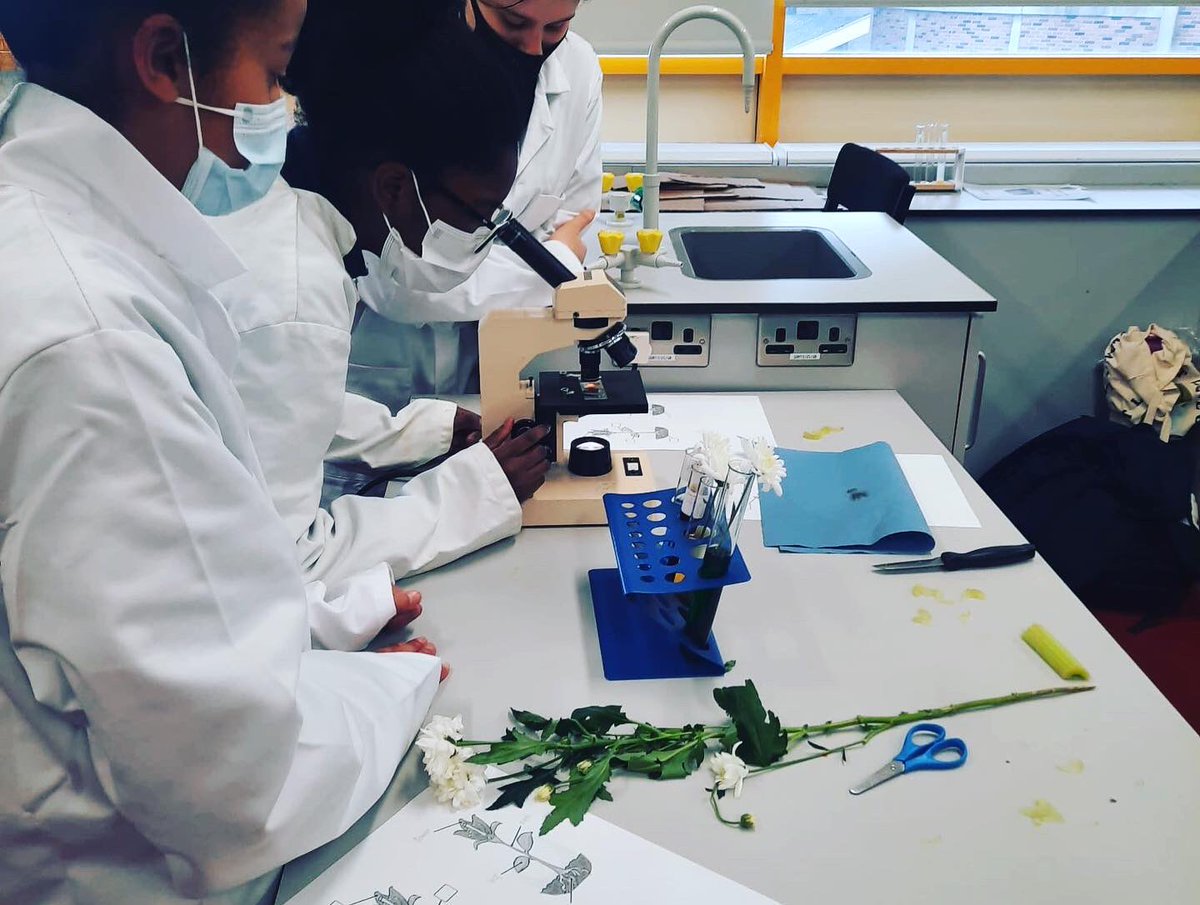 le_swashbuckler's tweet photo. A selection of photos from our after school. Tensile strength of hair, Forensics, transpiration in plants and more to come 👀 #Scienceclub @stpaulsg @stpaulsgscience #girlswhoscience https://t.co/BnlvCjeEKb