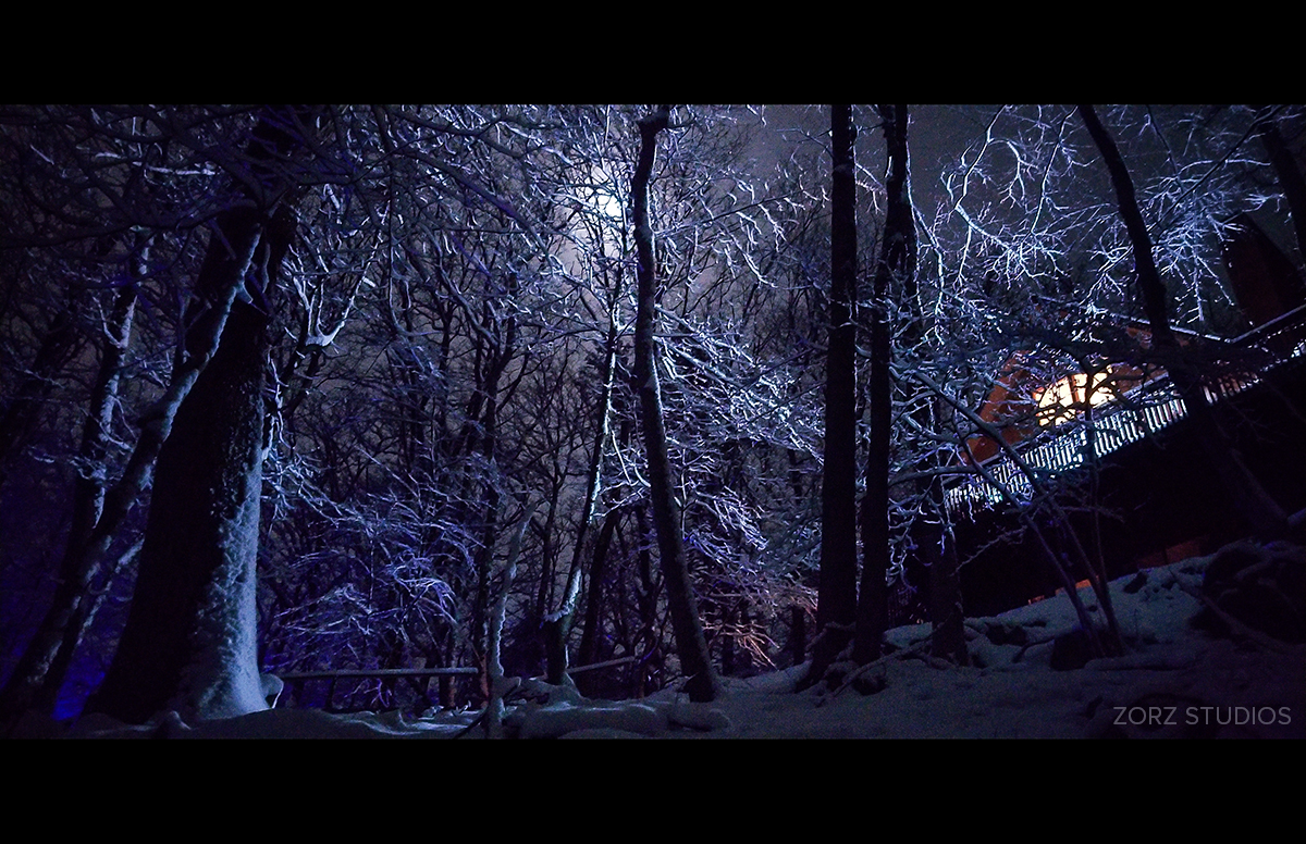 ZorzStudios's tweet photo. Last night I grabbed my 5-year-old Android and ventured out for the #night phone photography. Here's how: https://t.co/Vhfz8w0OHZ

#snow #nightphotography #phonephotography #fairytale #SamsungNote8 #moon #longexposure #tutorial #ZorzStudios https://t.co/yzuZfuLeGO