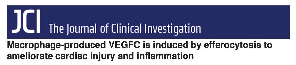Happy to share our just out of the oven collaborative work among the Thorp and Oliver's labs. Congratulations for Wanshu and Kris for the great and exciting findings!

jci.org/articles/view/…
