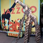 Photo by Jazzoo at the KCZoo (@JazzooKC)