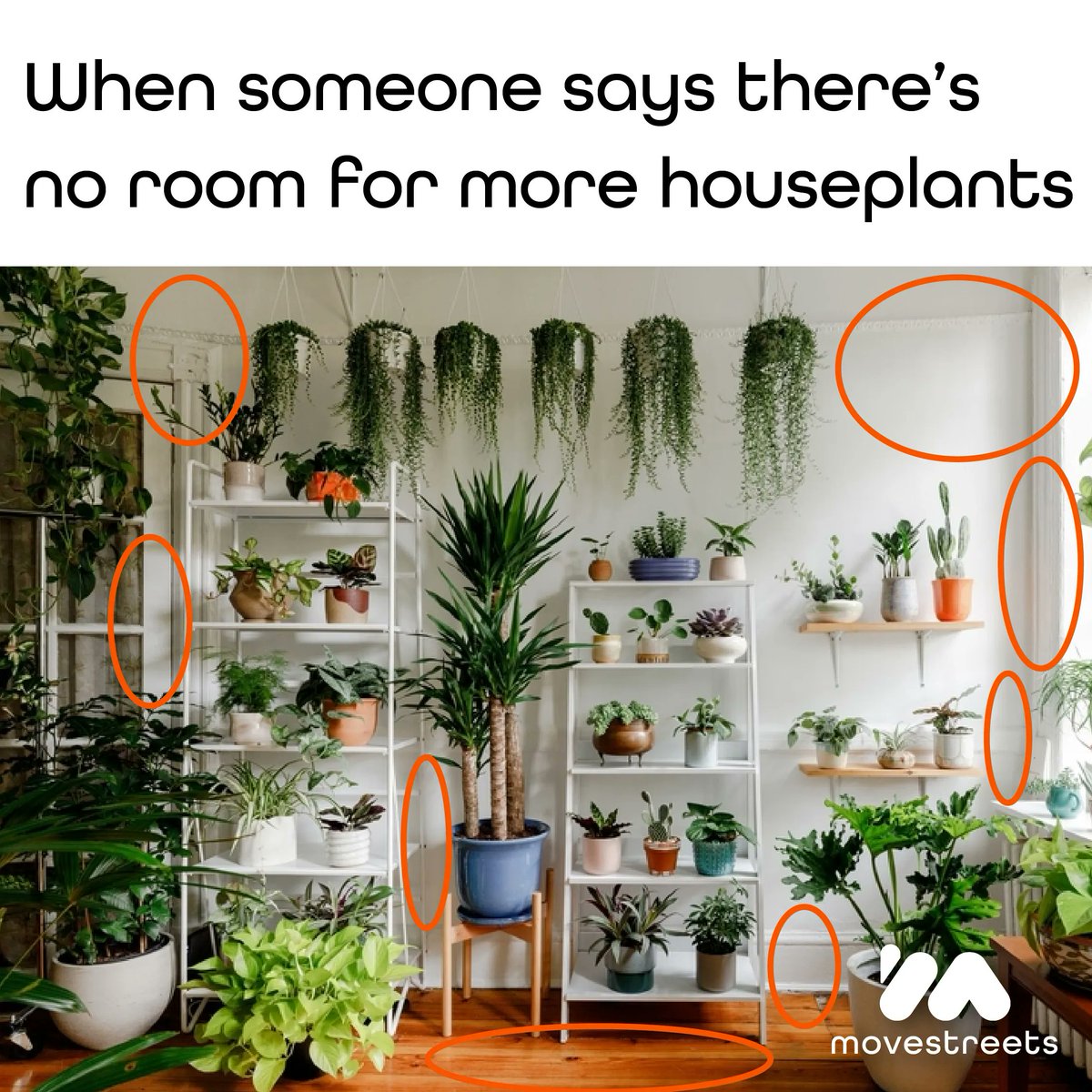 Looks like lots of room to me! 😂🌱

#homedecor #homeinspo #HouseHunters #houseplants