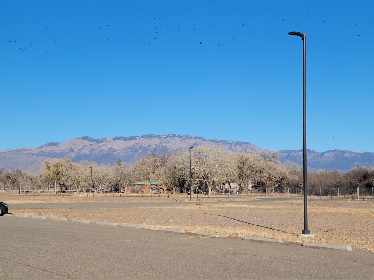 JoshuaArce3's tweet image. Thank you #ABQ for a great visit! S/O to Zia Pancakes @wecksabq, stuffed sopapilla @SadiesNewMexico , and green chile double @REALBlakesLota y'all the real MVP!!
So long old friend, San Dia mountain... until next time! #NativeCEO