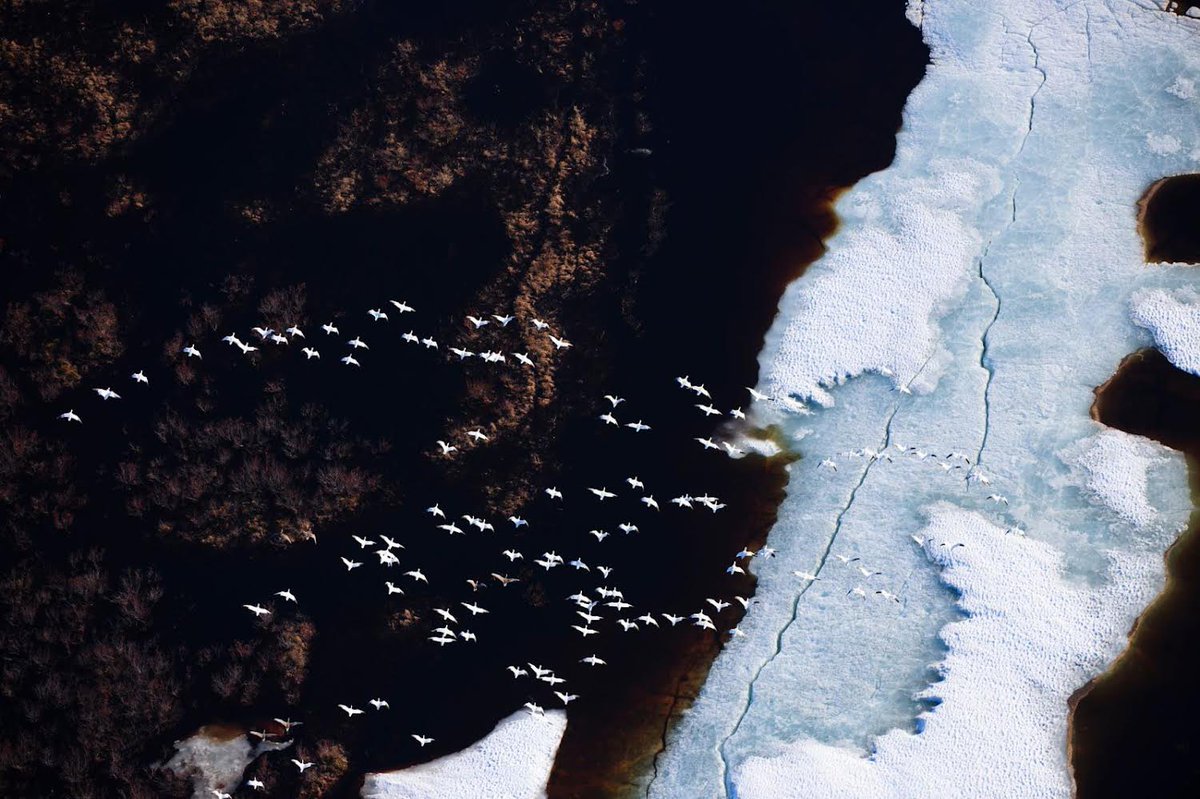 C4 | Christians Concerned About Climate Change tweet media