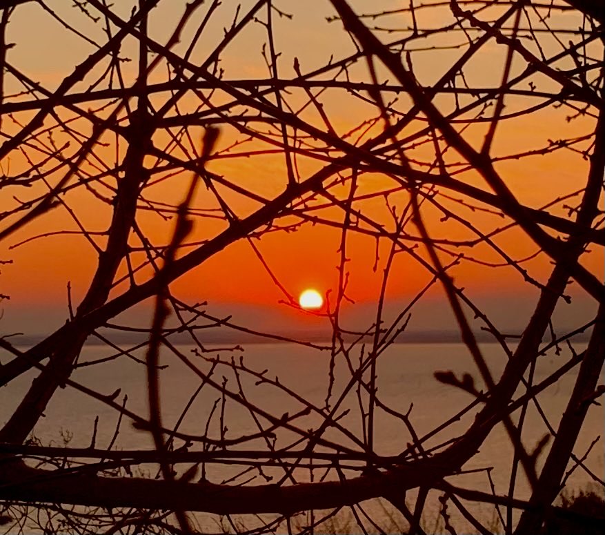 RobertaGasperi1's tweet photo. Tramonto sul mare oggi a #Trieste https://t.co/e1BtMCZe2E