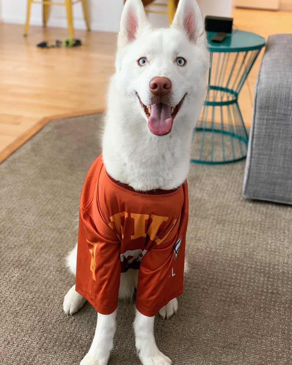 Cori Bigham tweet media