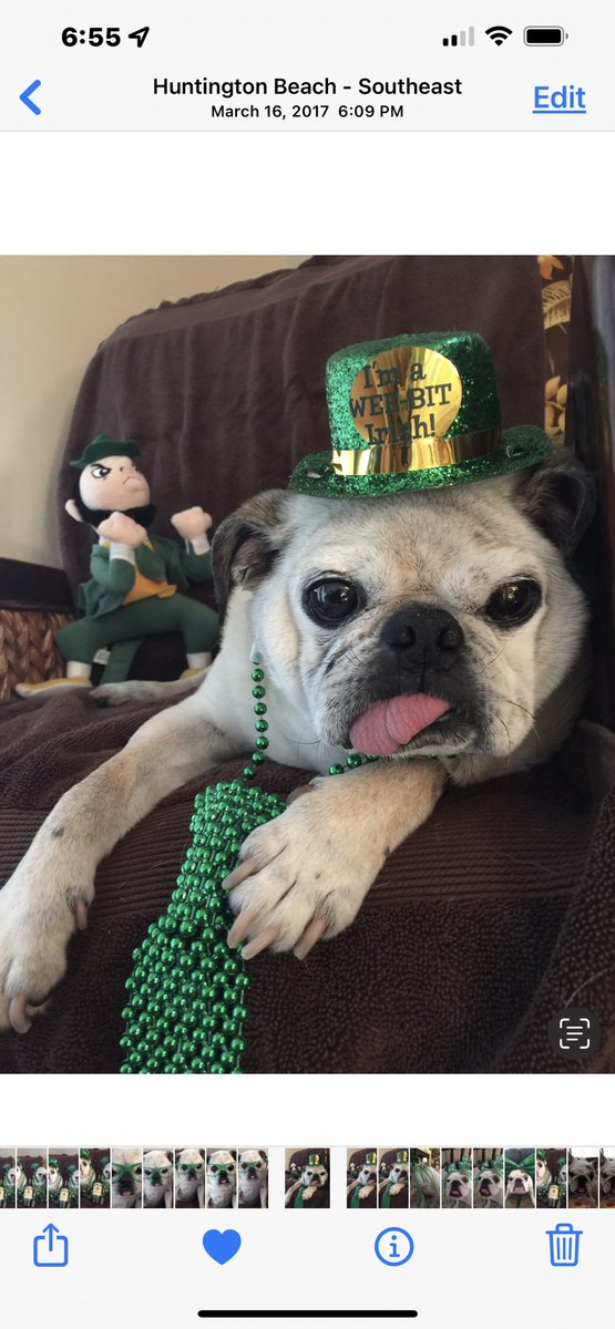 LoulouHoltz's tweet photo. Always remember to forget the things that made you sad 😢 But never forget to remember the things that made you glad 🥰
🍀🍀Love you 💚💚💚 #tbt #gipper
#irishproverbs https://t.co/Qf9aEe880M