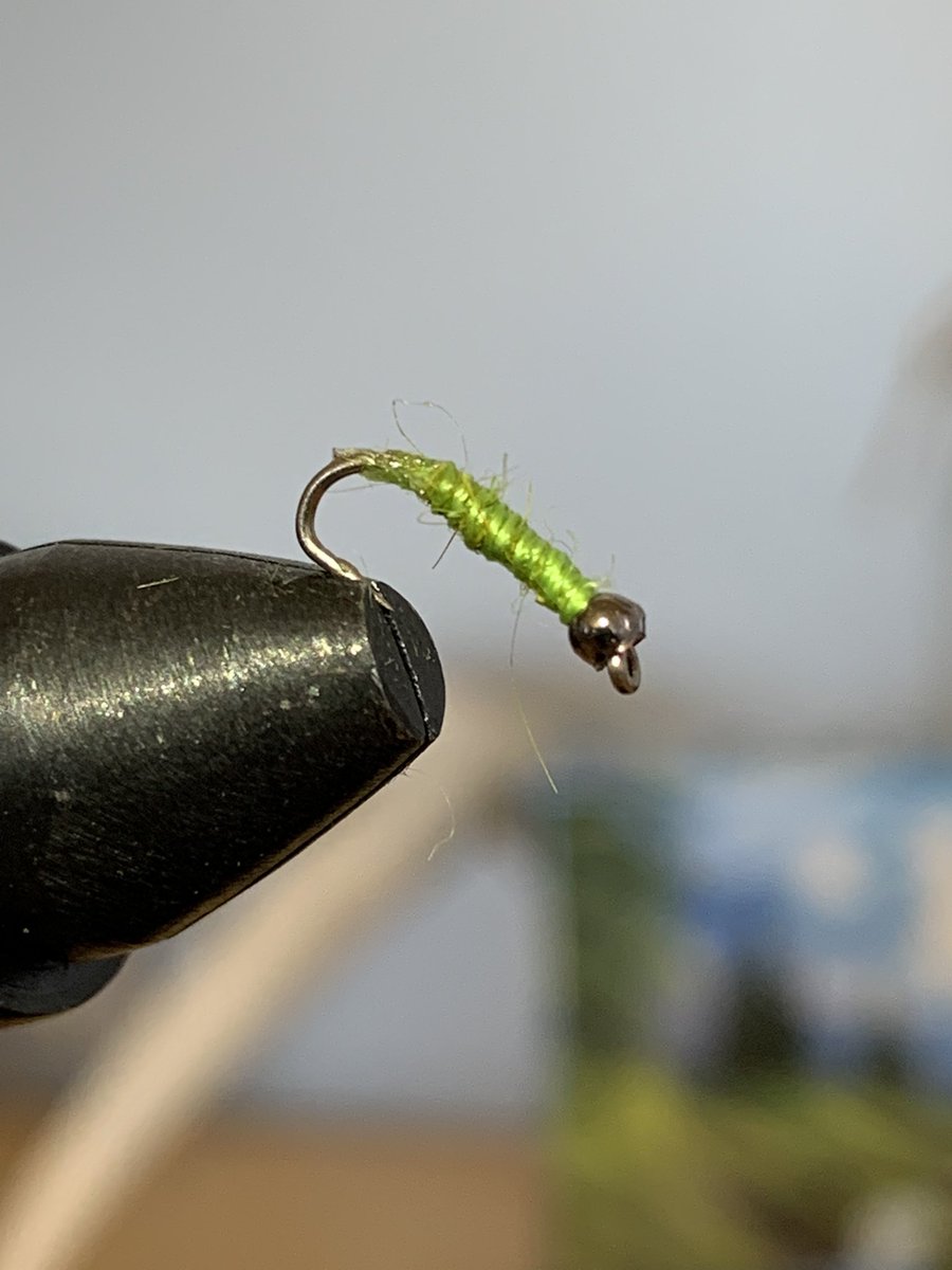 TieFliesShorty's tweet photo. As someone who has fought kidney disease my whole life, in honor of kidney disease awareness month. I tied this #Green nymph #nymph #flytie #fishing #fishinglife #FishingGirls #flyfishing #kidneyhealth #KidneyDisease https://t.co/A5ieleOyIv