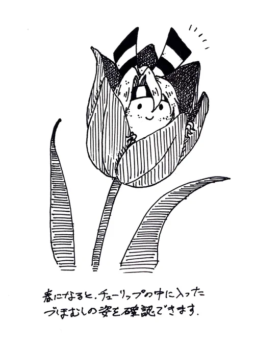 づほむしの生態レポート98 #づほむし 