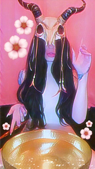 Gratitude is your strongest power #PraiseFreyja #LOA #Grateful https://t.co/e1wcYNhZgS