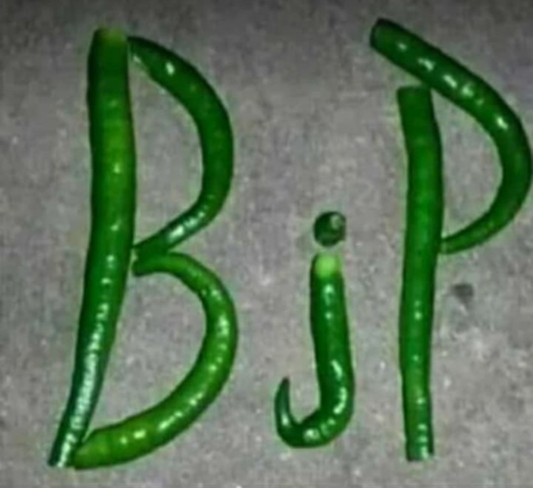 मुझे तो बीजेपी दिखाई दे रहा, किसी को मिर्ची लगी तो मैं क्या करूं।।☺️😀 यूपी की नगरी को बाबा जी चलाएंगे 🙏💃🚩 जय श्री राम🇮🇳
<a href="/akashx143/">सिर्फ सनातनी 🚩⚔️</a> <a href="/myogioffice/">Yogi Adityanath Office</a> <a href="/narendramodi/">Narendra Modi</a> <a href="/BJP4UP/">BJP Uttar Pradesh</a> <a href="/HinduEcosystem_/">Hindu Ecosystem हिन्दू ईकोसिस्टम</a> <a href="/Miss_ishuu/">इशिका मिश्रा</a> <a href="/trend/">Trend</a>