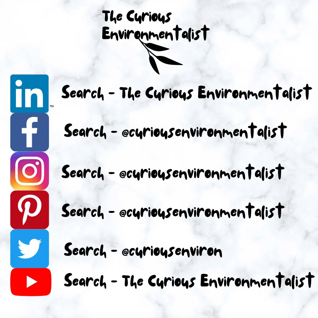 curiousenviron's tweet photo. Shameless self-plug (!) If you enjoy our content then make sure you are following us on all the different platforms. 
#SorryNotSorry #EnvironmentalBlogger #ConservationBlogger #NatureBlogger #Environmentalism #BloggerNetwork #SharingIsCaring 
For content: https://t.co/5qBUMF9Nc9 https://t.co/mtk9XFLn9H