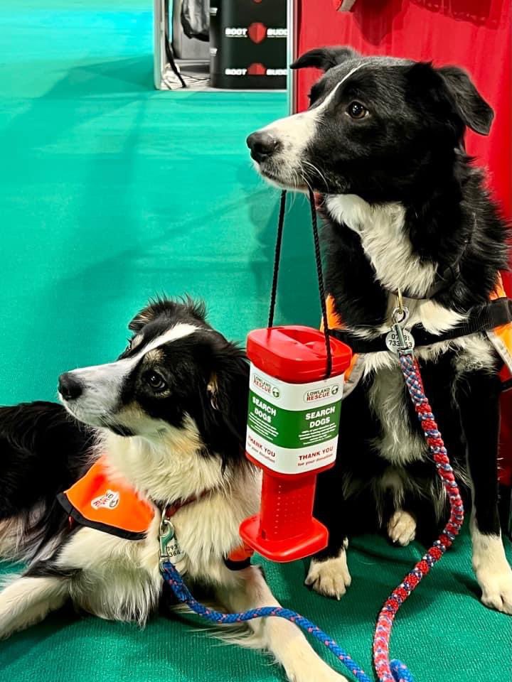 louholmes's tweet photo. @LowlandRescue trainee search dogs Hush and Whisper at @Crufts #Crufts2022 for day one of four today. ❤️❤️ https://t.co/ftfGwDexfJ